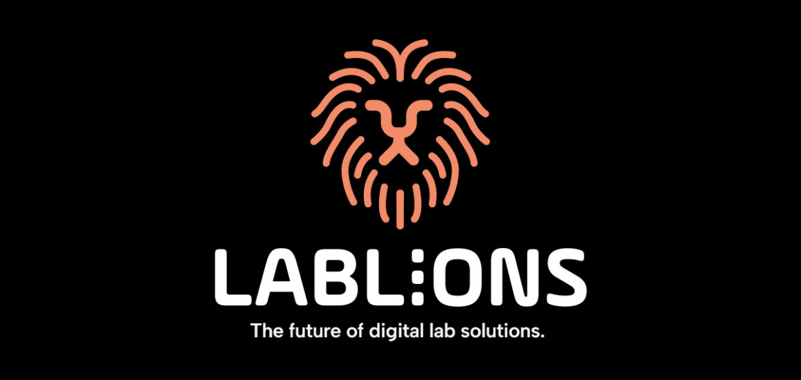 Frontend-Entwicklung mit Schwerpunkt UI/UX (all genders) | LABLIONS ...