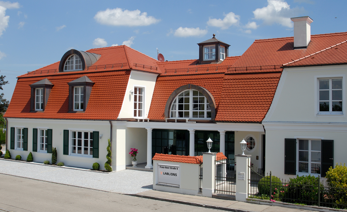 Hier sind die Löwen zu Hause