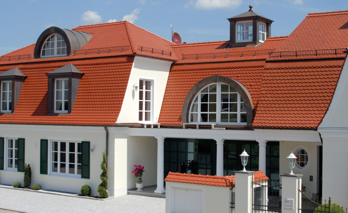 Hier sind die Löwen zu Hause